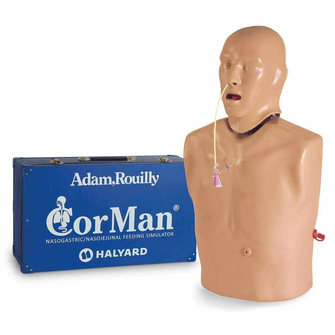 CORMAN - Adult Nasogastric and Nasojejunal Feeding Trainer