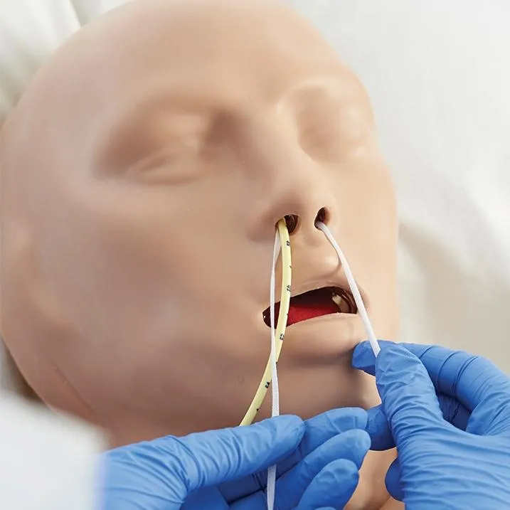 CORMAN - Adult Nasogastric and Nasojejunal Feeding Trainer