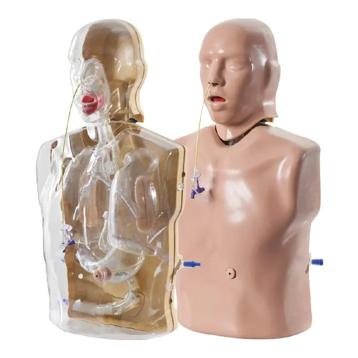 CORMAN - Adult Nasogastric and Nasojejunal Feeding Trainer