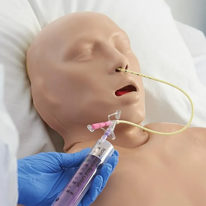 CORMAN - Adult Nasogastric and Nasojejunal Feeding Trainer